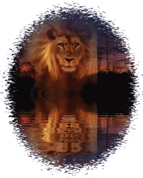 joli reflet !